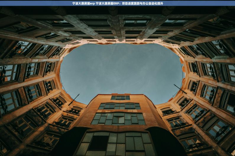 宁波大唐房屋erp 宁波大唐房屋ERP：项目进度跟踪与办公自动化提升