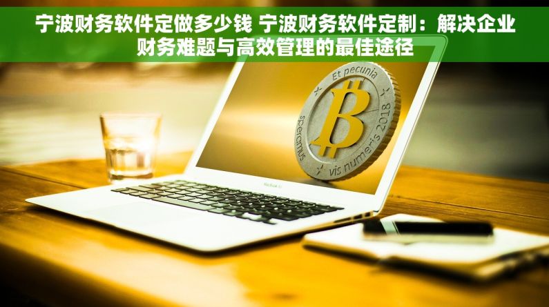 宁波财务软件定做多少钱 宁波财务软件定制：解决企业财务难题与高效管理的最佳途径