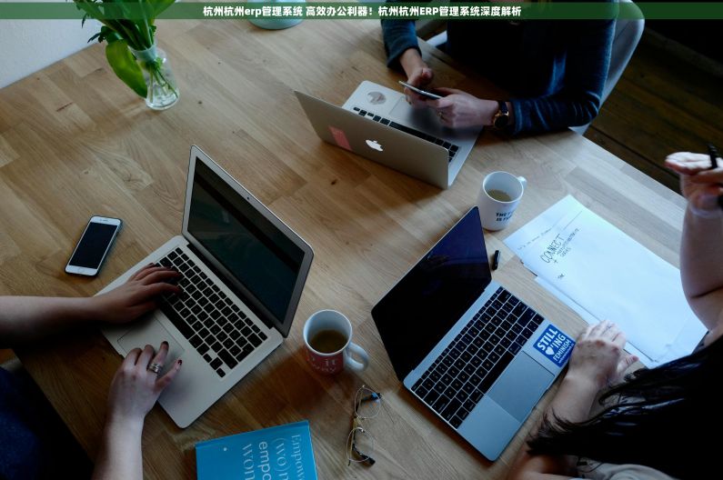 杭州杭州erp管理系统 高效办公利器！杭州杭州ERP管理系统深度解析