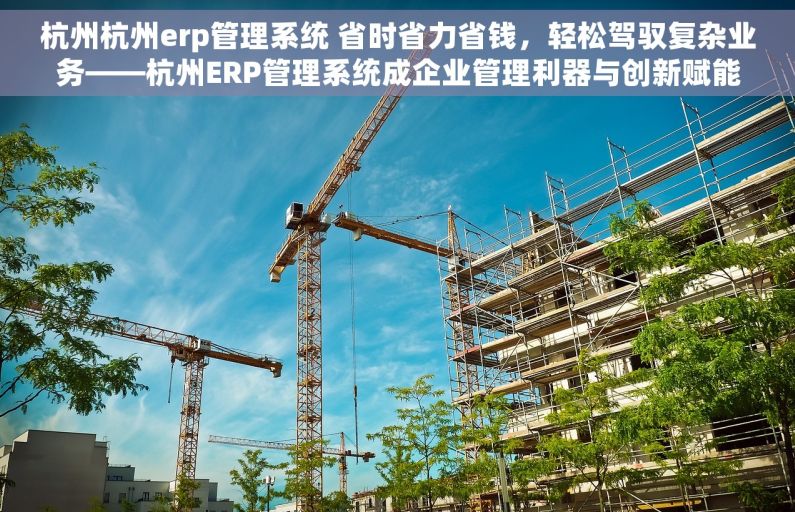 杭州杭州erp管理系统 省时省力省钱，轻松驾驭复杂业务——杭州ERP管理系统成企业管理利器与创新赋能