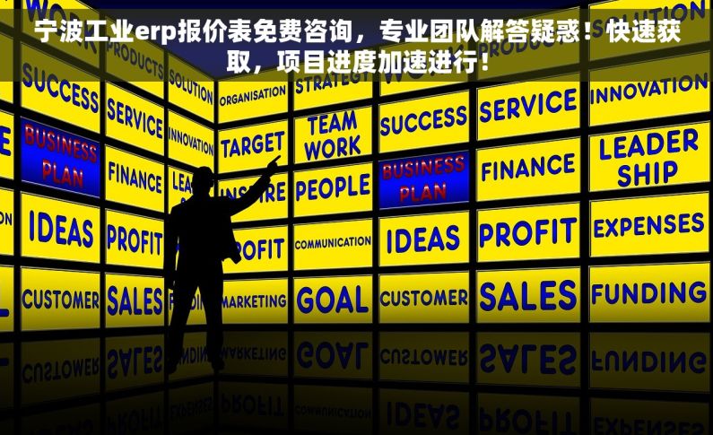 宁波工业erp报价表免费咨询，专业团队解答疑惑！快速获取，项目进度加速进行！