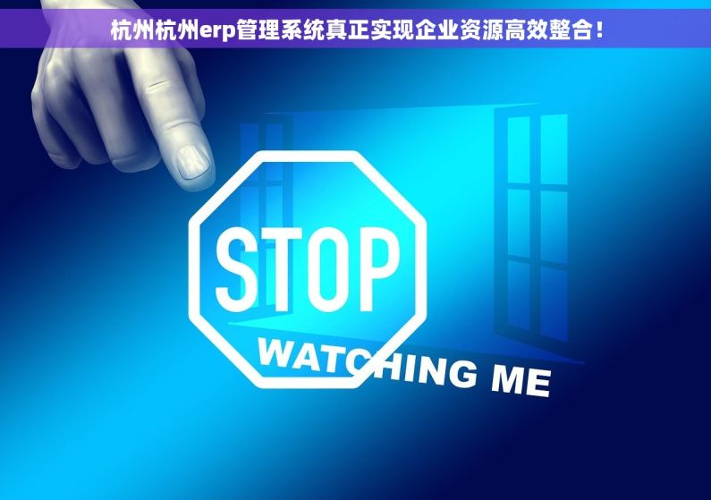 杭州杭州erp管理系统真正实现企业资源高效整合！