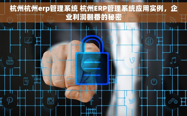 杭州杭州erp管理系统 杭州ERP管理系统应用实例，企业利润翻番的秘密