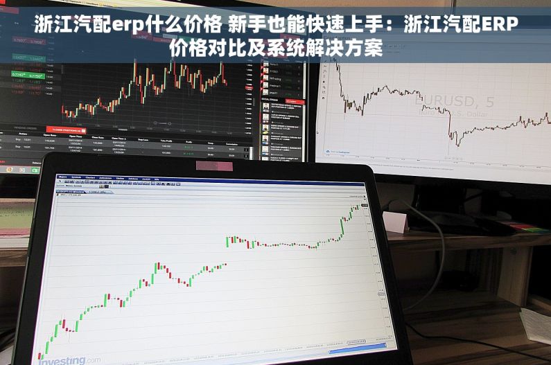 浙江汽配erp什么价格 新手也能快速上手：浙江汽配ERP价格对比及系统解决方案