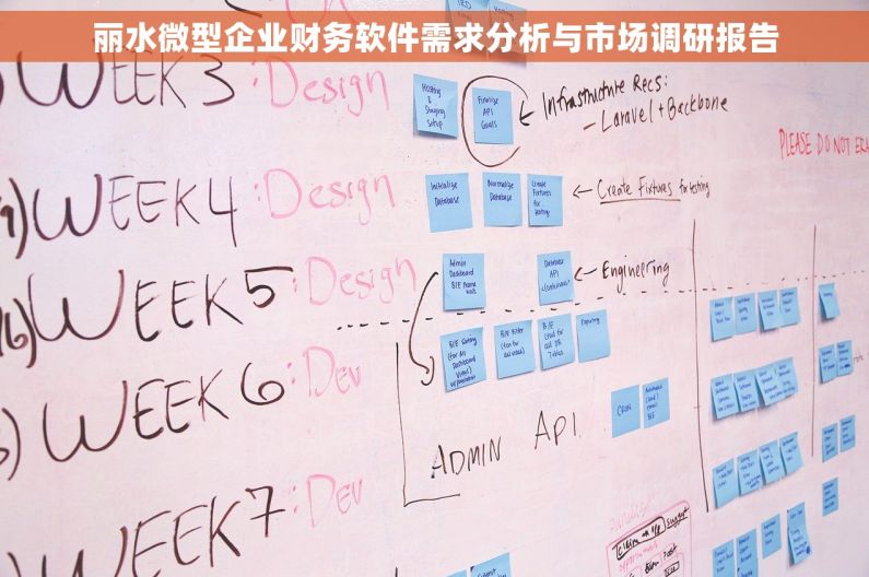 丽水微型企业财务软件需求分析与市场调研报告