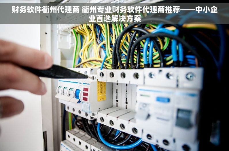 财务软件衢州代理商 衢州专业财务软件代理商推荐——中小企业首选解决方案