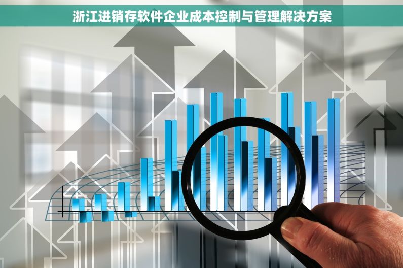 浙江进销存软件企业成本控制与管理解决方案