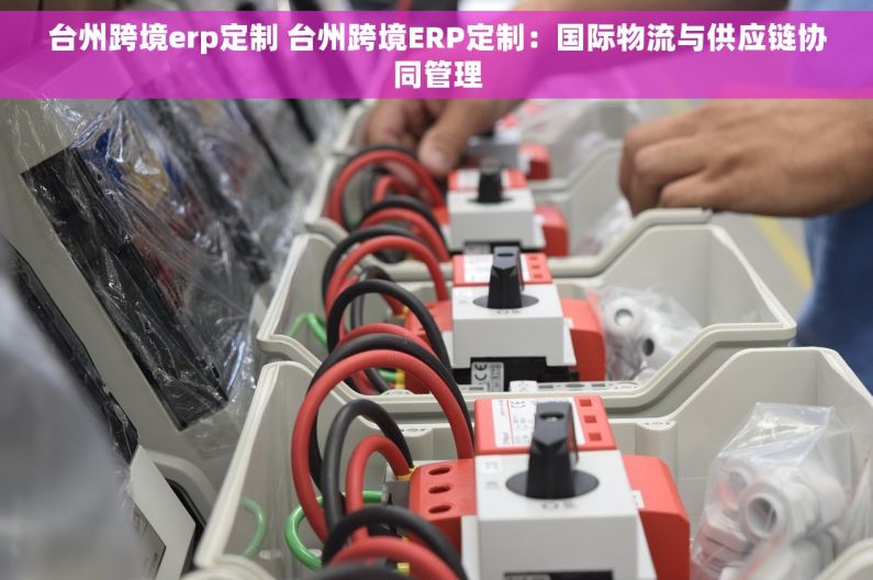 台州跨境erp定制 台州跨境ERP定制：国际物流与供应链协同管理