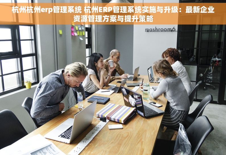 杭州杭州erp管理系统 杭州ERP管理系统实施与升级：最新企业资源管理方案与提升策略