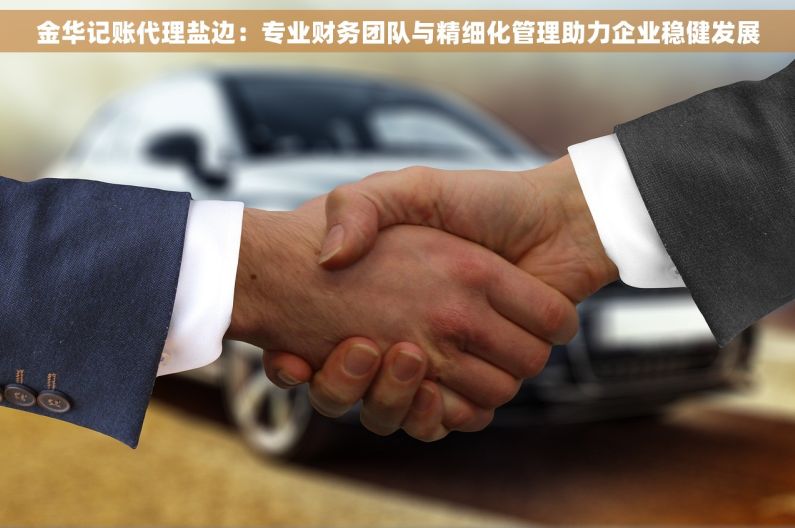 金华记账代理盐边：专业财务团队与精细化管理助力企业稳健发展