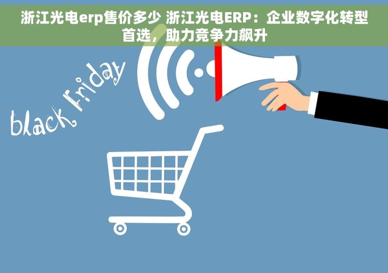 浙江光电erp售价多少 浙江光电ERP：企业数字化转型首选，助力竞争力飙升