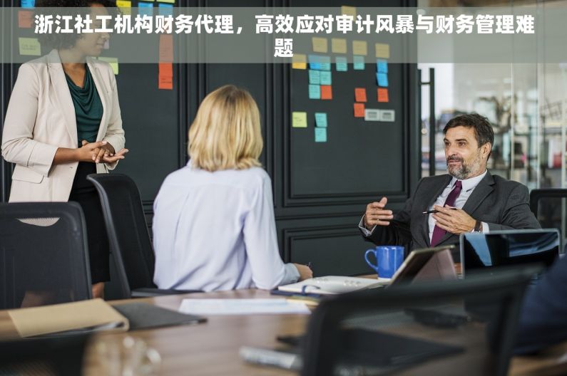 浙江社工机构财务代理，高效应对审计风暴与财务管理难题