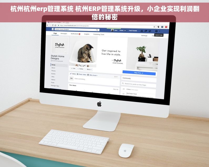 杭州杭州erp管理系统 杭州ERP管理系统升级，小企业实现利润翻倍的秘密