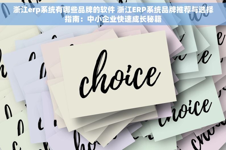 浙江erp系统有哪些品牌的软件 浙江ERP系统品牌推荐与选择指南：中小企业快速成长秘籍