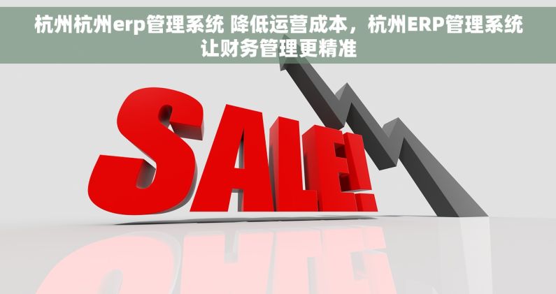 杭州杭州erp管理系统 降低运营成本，杭州ERP管理系统让财务管理更精准