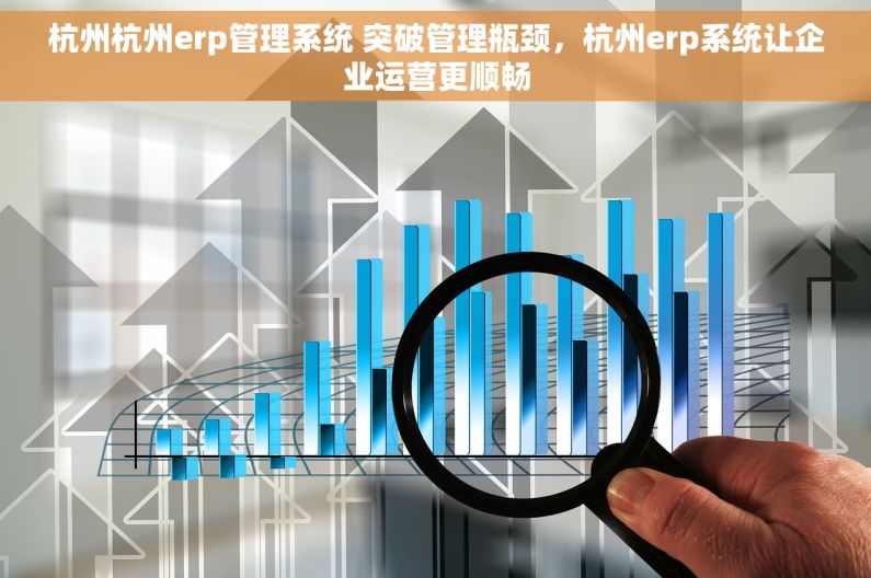 杭州杭州erp管理系统 突破管理瓶颈，杭州erp系统让企业运营更顺畅