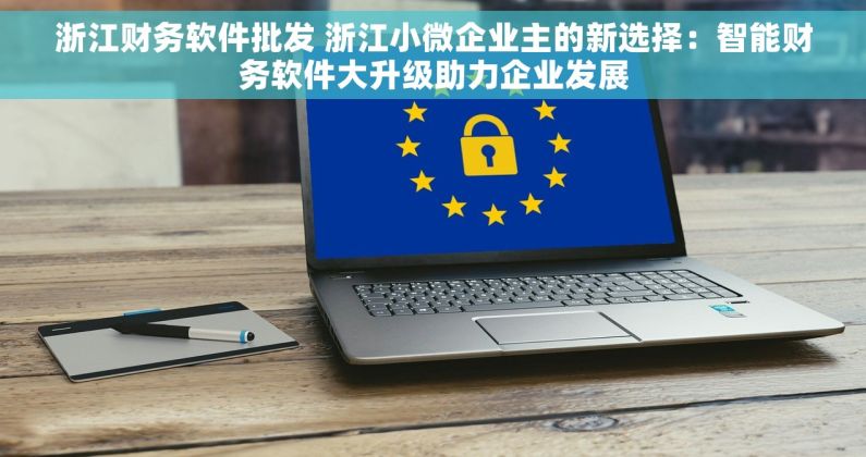 浙江财务软件批发 浙江小微企业主的新选择：智能财务软件大升级助力企业发展