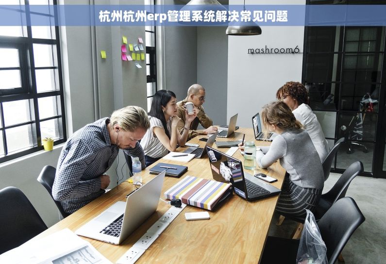杭州杭州erp管理系统解决常见问题