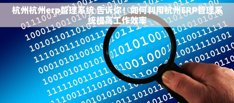 杭州杭州erp管理系统 告诉你！如何利用杭州ERP管理系统提高工作效率