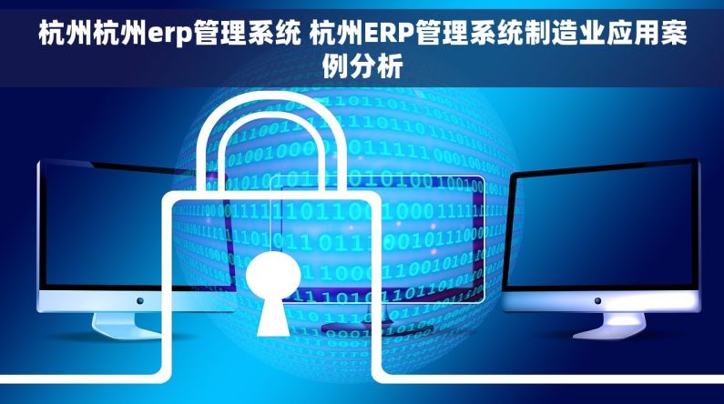 杭州杭州erp管理系统 杭州ERP管理系统制造业应用案例分析
