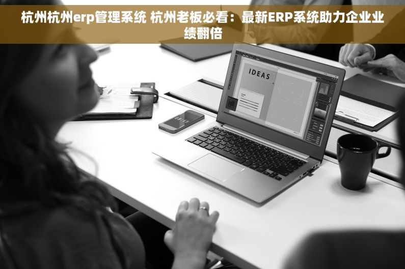 杭州杭州erp管理系统 杭州老板必看：最新ERP系统助力企业业绩翻倍