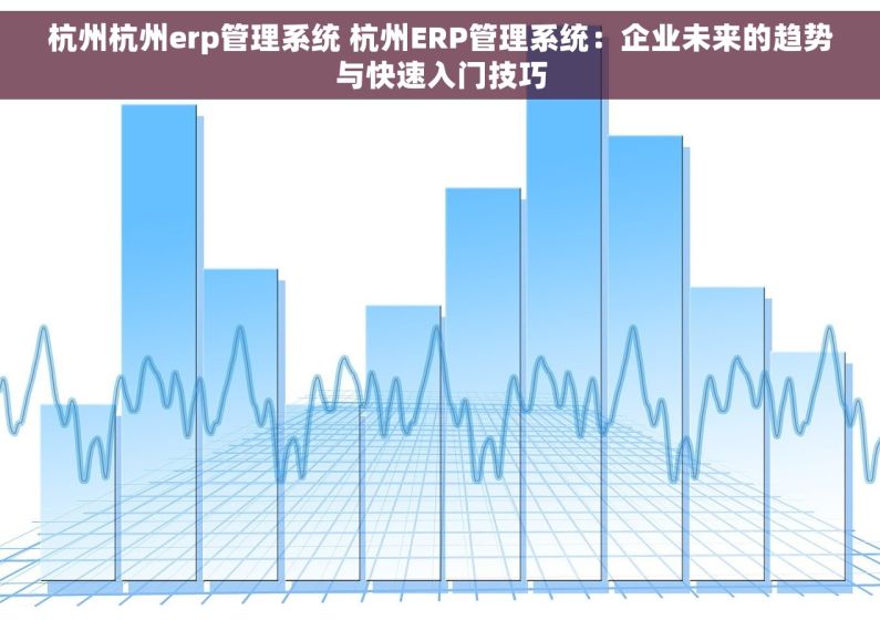 杭州杭州erp管理系统 杭州ERP管理系统：企业未来的趋势与快速入门技巧