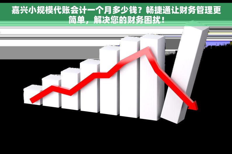 嘉兴小规模代账会计一个月多少钱？畅捷通让财务管理更简单，解决您的财务困扰！