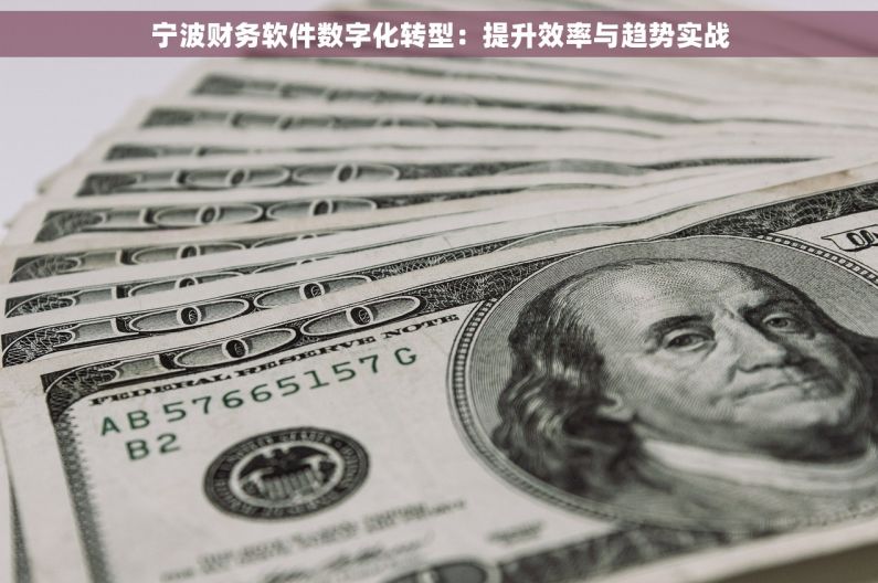 宁波财务软件数字化转型：提升效率与趋势实战