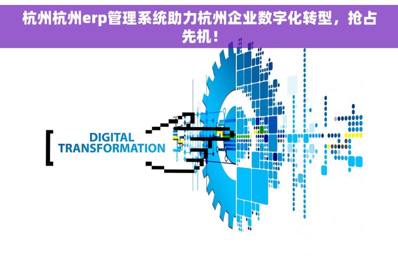杭州杭州erp管理系统助力杭州企业数字化转型，抢占先机！