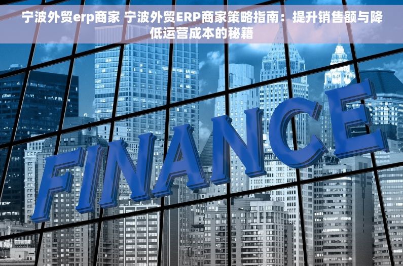 宁波外贸erp商家 宁波外贸ERP商家策略指南：提升销售额与降低运营成本的秘籍