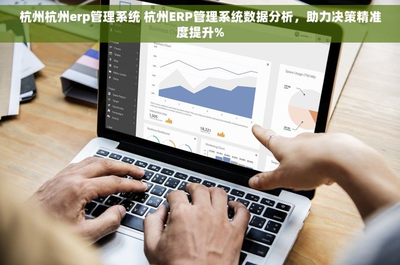 杭州杭州erp管理系统 杭州ERP管理系统数据分析，助力决策精准度提升%