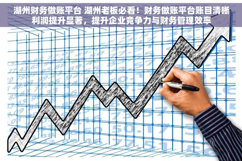 湖州财务做账平台 湖州老板必看！财务做账平台账目清晰利润提升显著，提升企业竞争力与财务管理效率