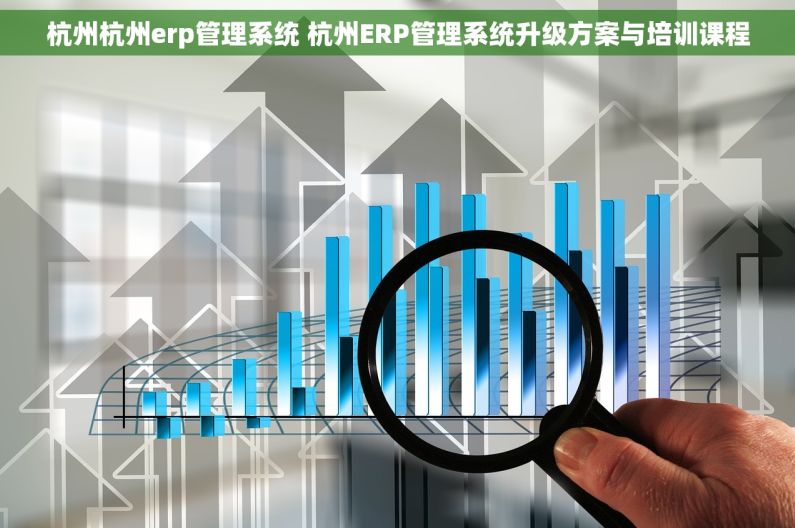 杭州杭州erp管理系统 杭州ERP管理系统升级方案与培训课程