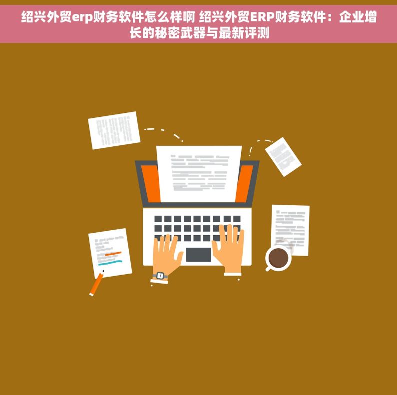 绍兴外贸erp财务软件怎么样啊 绍兴外贸ERP财务软件：企业增长的秘密武器与最新评测