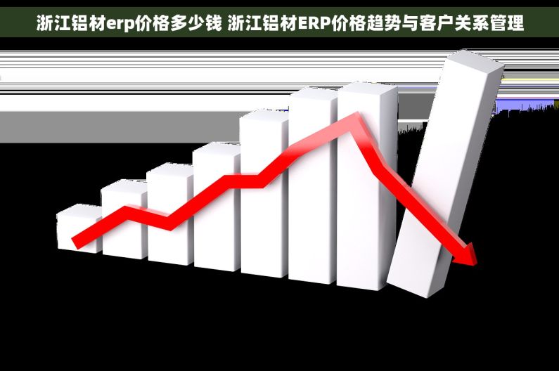 浙江铝材erp价格多少钱 浙江铝材ERP价格趋势与客户关系管理