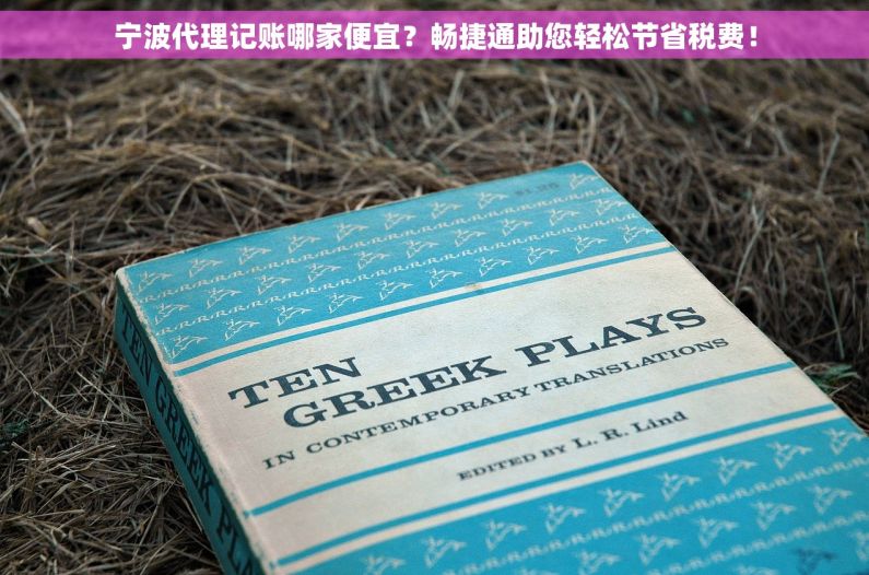 宁波代理记账哪家便宜？畅捷通助您轻松节省税费！