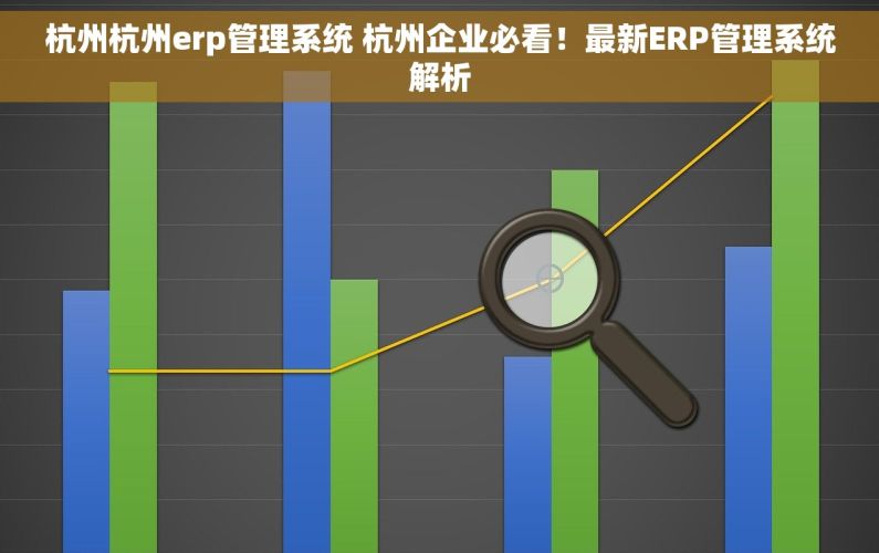 杭州杭州erp管理系统 杭州企业必看！最新ERP管理系统解析