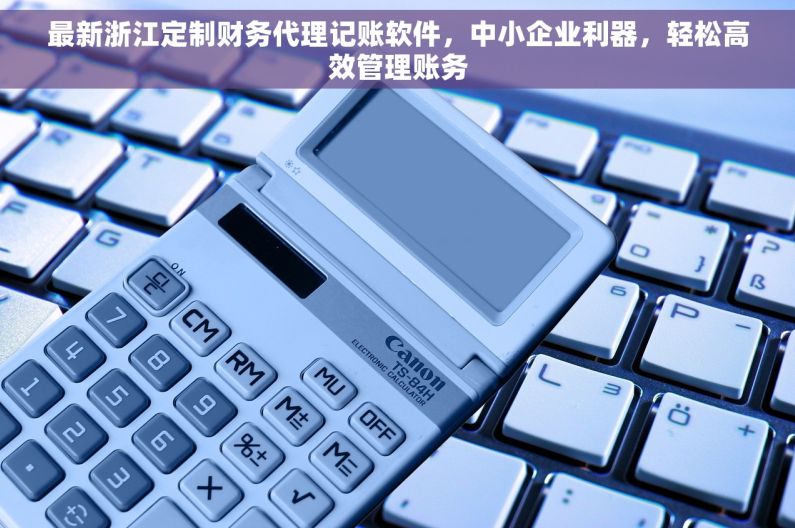 最新浙江定制财务代理记账软件，中小企业利器，轻松高效管理账务