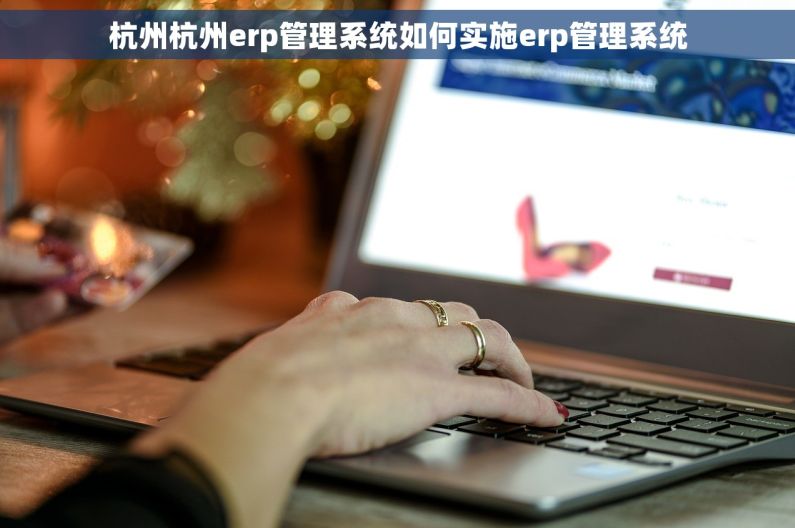 杭州杭州erp管理系统如何实施erp管理系统