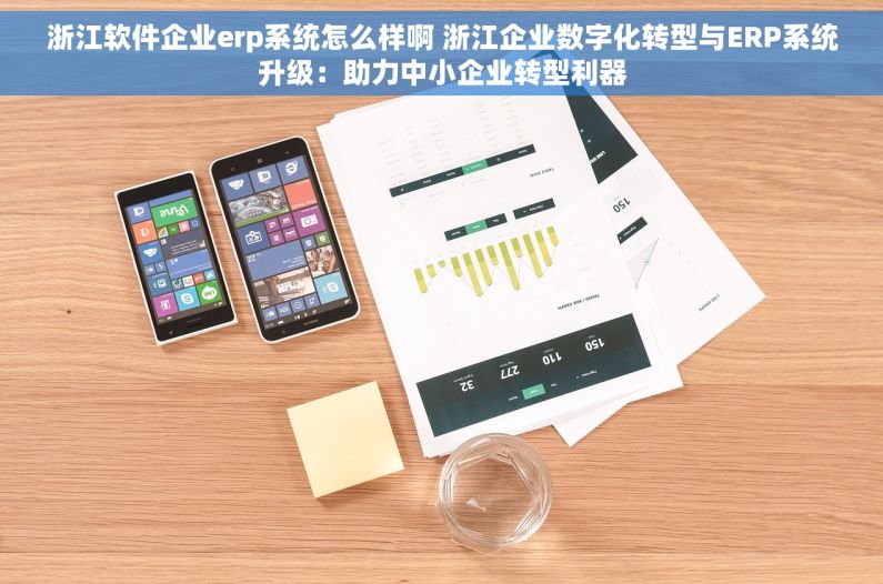 浙江软件企业erp系统怎么样啊 浙江企业数字化转型与ERP系统升级：助力中小企业转型利器