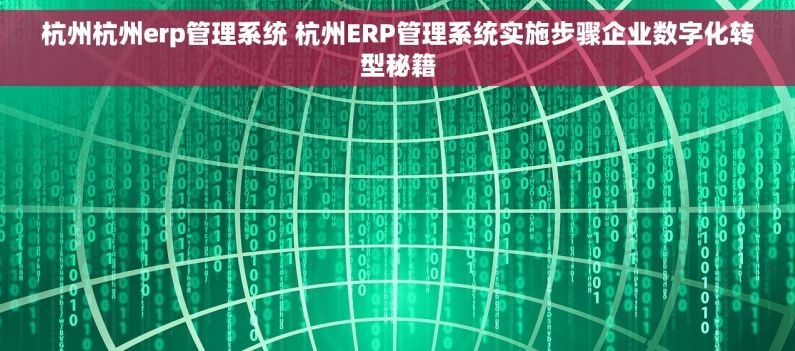 杭州杭州erp管理系统 杭州ERP管理系统实施步骤企业数字化转型秘籍