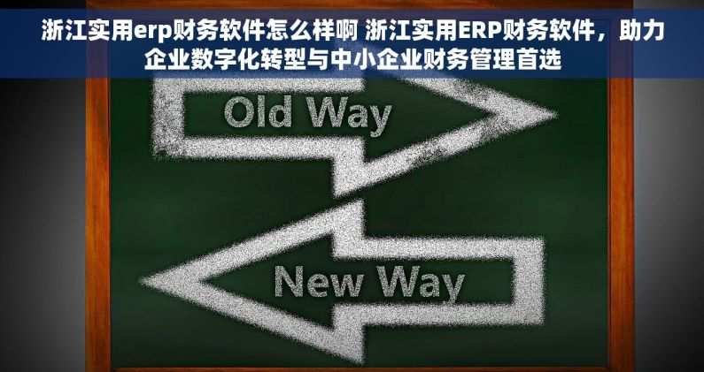 浙江实用erp财务软件怎么样啊 浙江实用ERP财务软件，助力企业数字化转型与中小企业财务管理首选