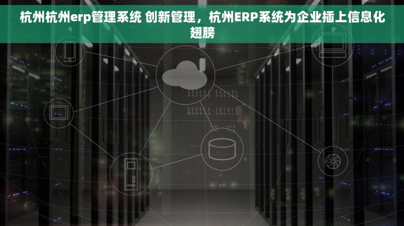 杭州杭州erp管理系统 创新管理，杭州ERP系统为企业插上信息化翅膀