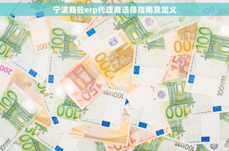 宁波商砼erp代理商选择指南及定义