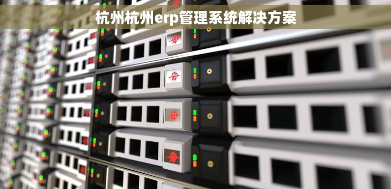 杭州杭州erp管理系统解决方案