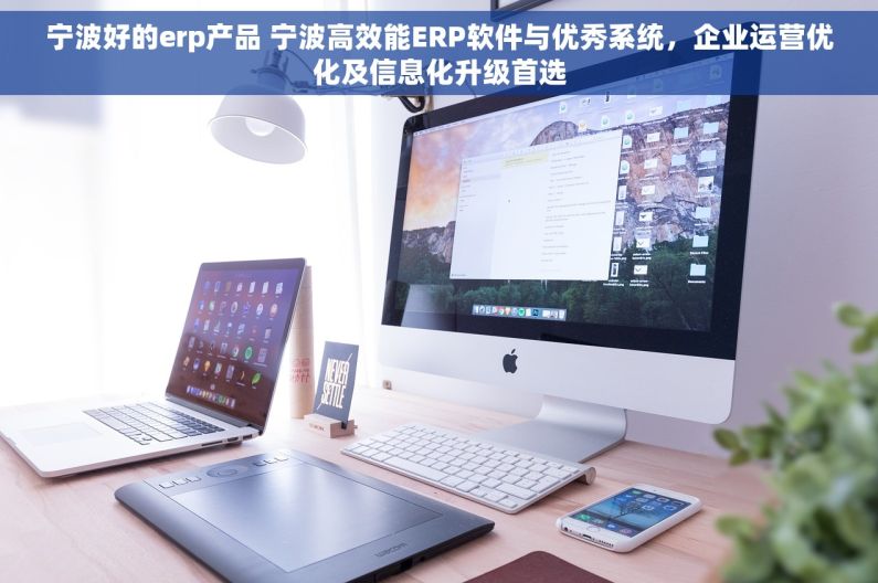 宁波好的erp产品 宁波高效能ERP软件与优秀系统，企业运营优化及信息化升级首选