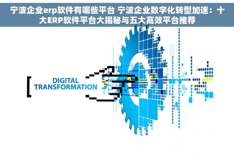 宁波企业erp软件有哪些平台 宁波企业数字化转型加速：十大ERP软件平台大揭秘与五大高效平台推荐