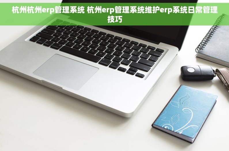 杭州杭州erp管理系统 杭州erp管理系统维护erp系统日常管理技巧