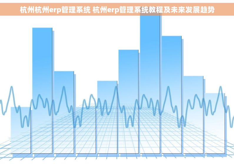 杭州杭州erp管理系统 杭州erp管理系统教程及未来发展趋势