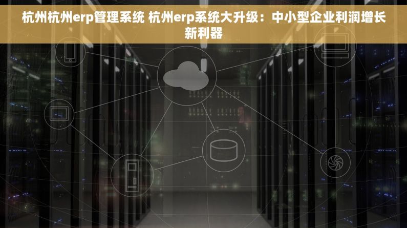 杭州杭州erp管理系统 杭州erp系统大升级：中小型企业利润增长新利器